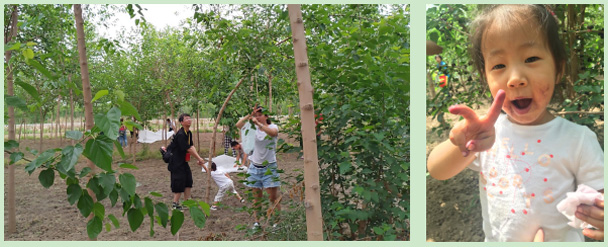 鈺鑫電氣在清苑舉辦采桑親子活動(dòng)(2)