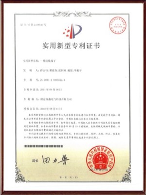 一種接線端子實(shí)用新型專利證書